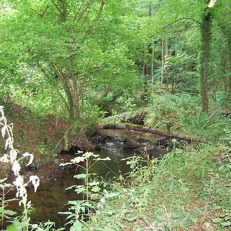 Gite La Chouette Bégard Buitenkant foto