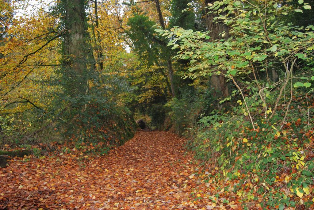 Gite La Chouette Bégard Buitenkant foto