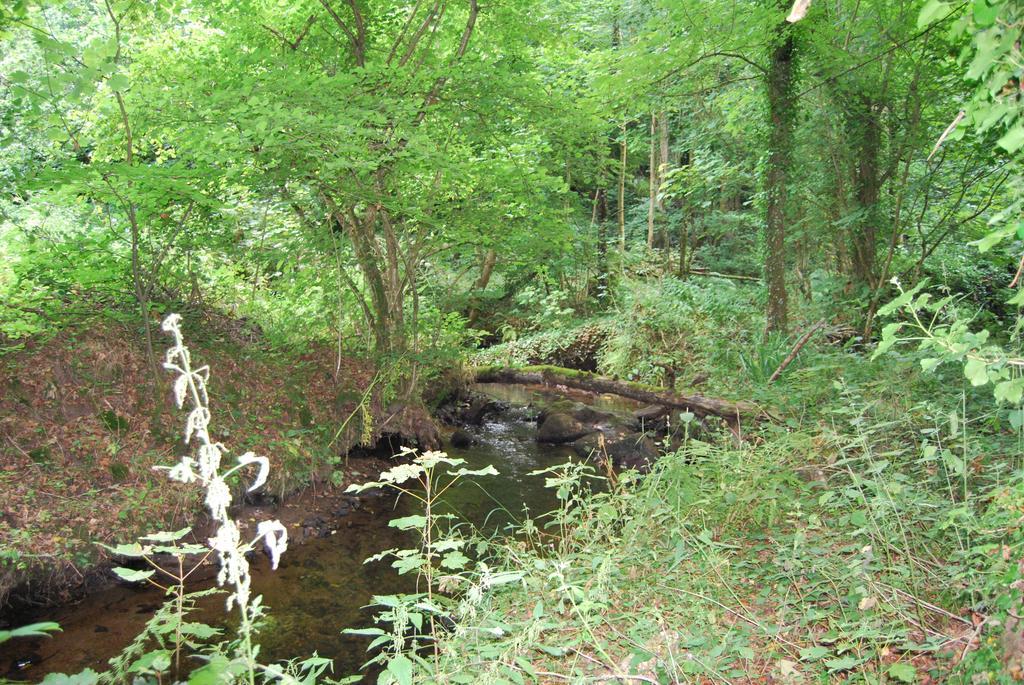 Gite La Chouette Bégard Buitenkant foto